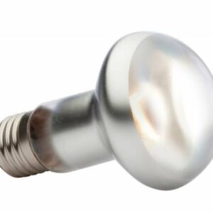Lampe intense à vis Exo Terra 50W