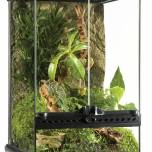 Exo Terra terrarium 30X30X45CM pour reptiles et amphibiens