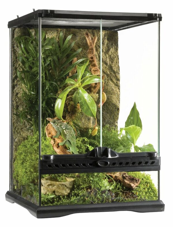 Exo Terra terrarium 30X30X45CM pour reptiles et amphibiens