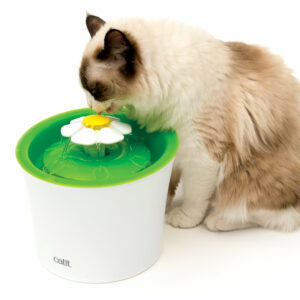 Abreuvoir pour chat avec fleur - Fontaine 3L Vert