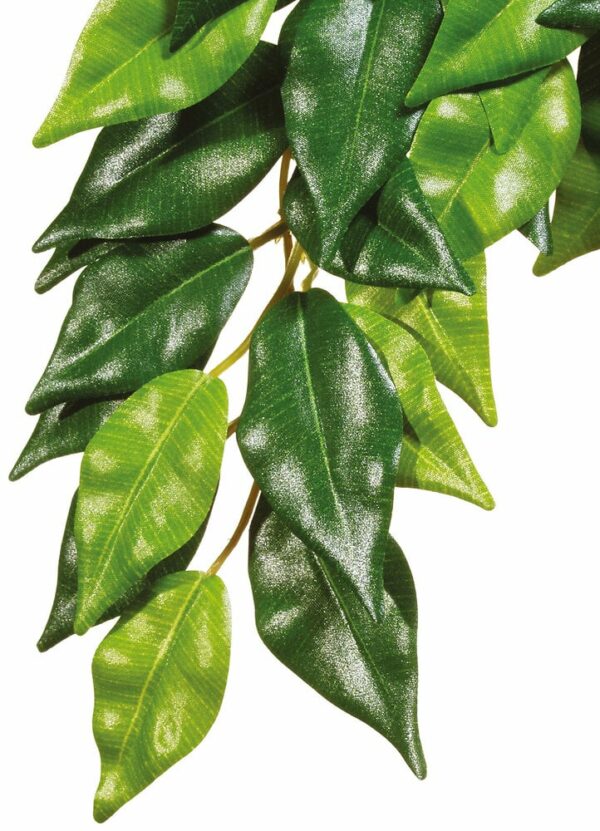 Exo Terra feuillage ficus GM