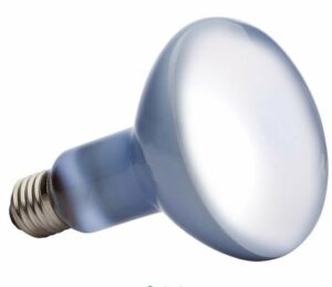 Exo Terra lampe daylight à vis 50W pour reptiles et terrariums