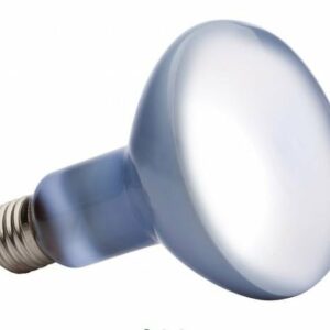Exo Terra lampe daylight à vis 50W pour reptiles et terrariums