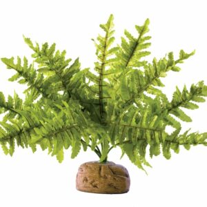 Exo Terra plante fougères pour terrariums