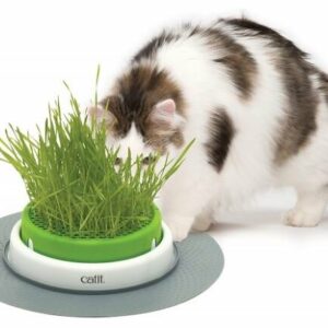 Jardinière Catit Senses 2.0 Jardin d'herbe à chat