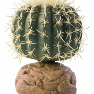 Exo Terra plante cactus oursin PM