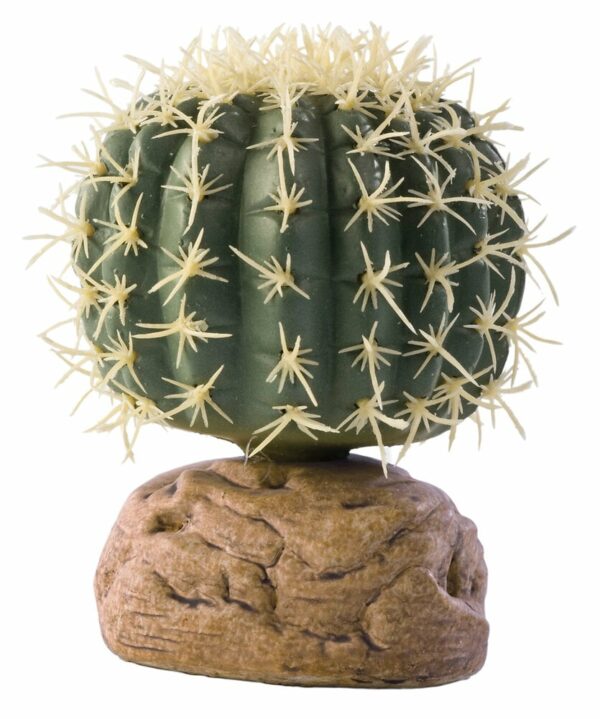 Exo Terra plante cactus oursin PM