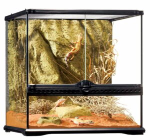 Exo Terra terrarium 45X45X45CM pour reptiles et amphibiens