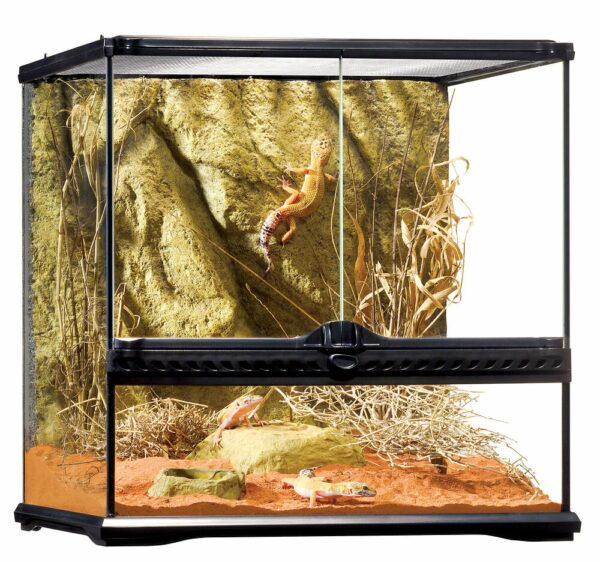 Habitat d'avant-garde pour reptiles Exo Terra terrarium 45X45X45CM