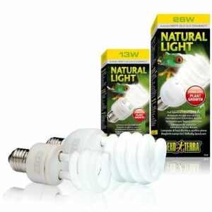 Ampoule Exo Terra Natural Light Fluocomp 25W pour terrarium