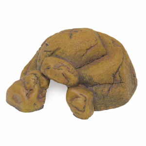 Exo Terra cachette reptile Small