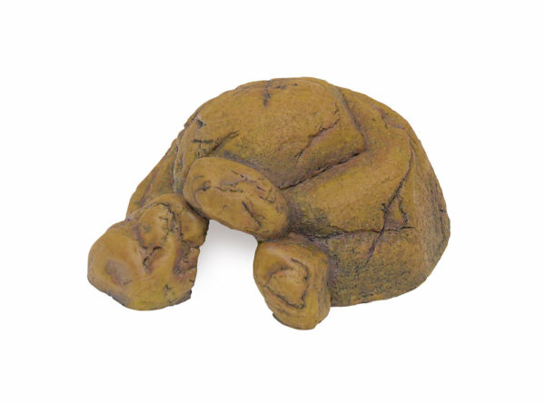 Exo Terra cachette reptile Small