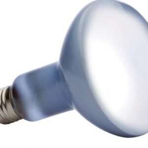 Exo Terra ampoule daylight à vis 150W pour terrariums