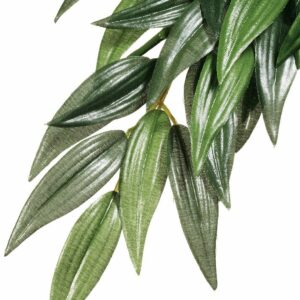 Exo terra feuillage ruscus MM