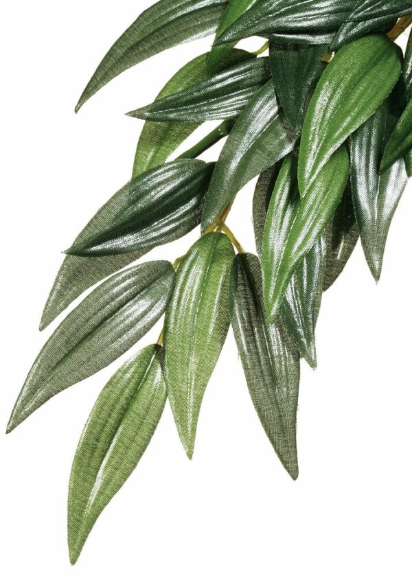 Exo terra feuillage ruscus MM