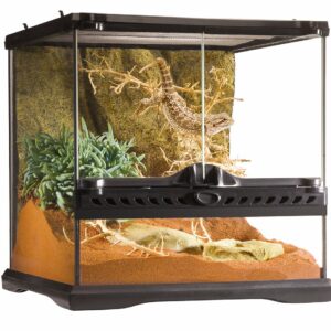 Habitat d'avant-garde pour reptiles - Exo Terra terrarium 30X30X30CM