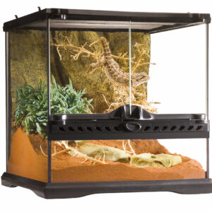 Terrarium Exo Terra 30X30X30CM pour reptiles