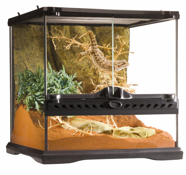 Terrarium Exo Terra 30X30X30CM pour reptiles