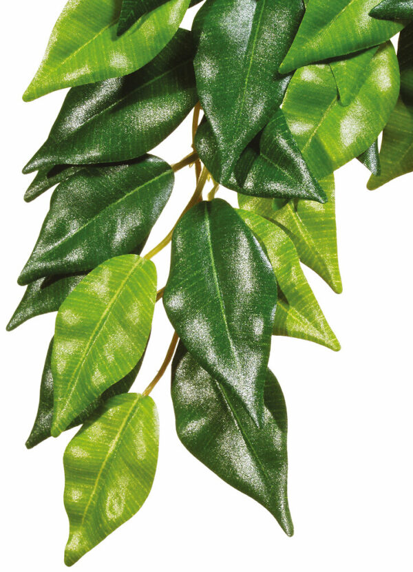Exo Terra feuillage ficus MM