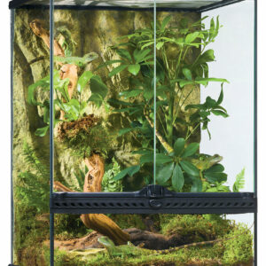 Habitat d'avant-garde pour reptiles Exo Terra terrarium 45X45X60CM