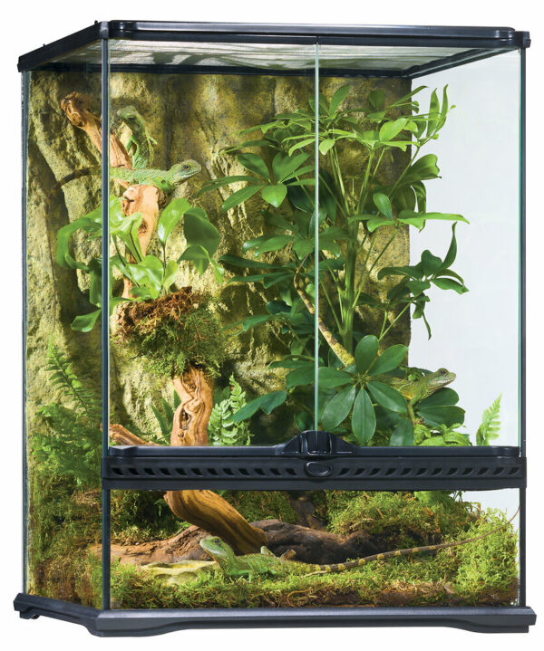 Habitat d'avant-garde pour reptiles Exo Terra terrarium 45X45X60CM