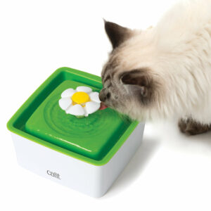 Fontaine à fleur Catit 1.5L pour chat - Bol d'eau fraîche avec filtre et pompe