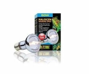 Exo Terra ampoule halogène à vis 50W pour reptiles