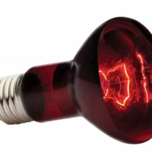 Exo Terra lampe infrared à vis 75W pour reptiles et terrariums