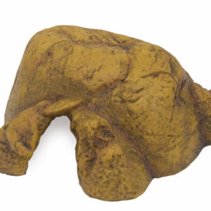 Exo Terra cachette reptile Medium - Accessoire essentiel pour terrariums