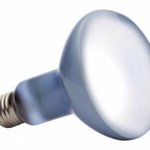 Ampoule Exo Terra Daylight Basking Spot 75W pour terrariums