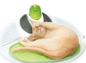 Catit station de massage pour chat