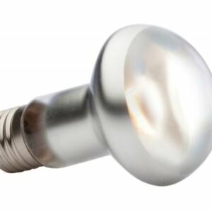 Exo Terra lampe intense à vis 75W pour reptiles