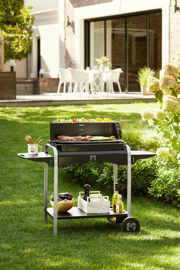 Barbecue Rectangulaire en Charbon de Bois Oceanos - Resistance et Praticité pour des Grillades Parfaites