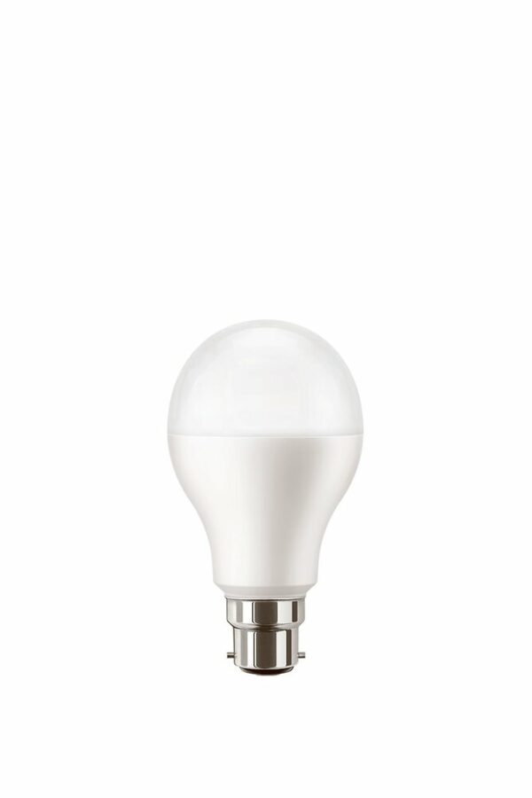 Ampoule LED B22 Standard - Dépolie - Blanc chaud - 2700K - 100W