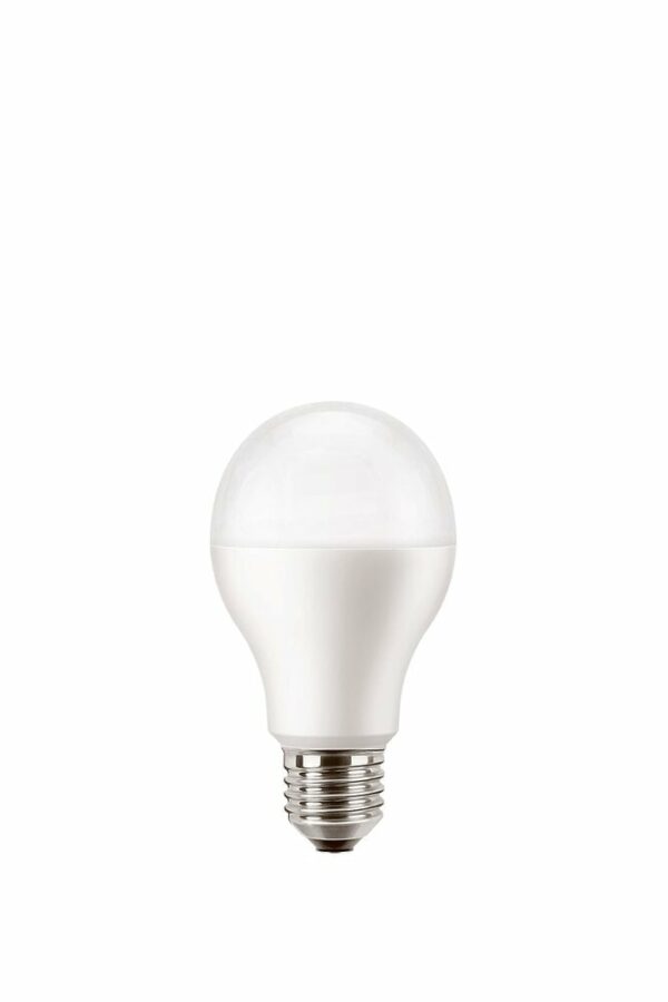Ampoule LED E27 Standard 100W Blanc froid Dépolie