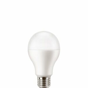 Ampoule LED E27 Standard - Dépolie - Blanc froid - 2700K - 100W