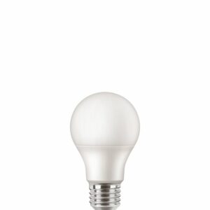 Lot de 2 Ampoules LED E27 Standard Dépolies Blanc Froid 2700K 60W