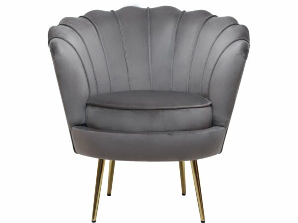 Fauteuil en Velours "Floria" Gris 75x68x77.5 cm – Confort et Élégance pour Intérieur