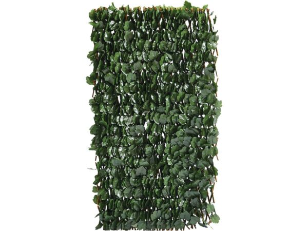 Clôture en Treillis de Saule "Fragon" 200x100cm Vert – Facile à Installer & Résistante