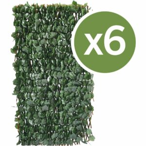 Lot de 6 Clôtures en Treillis de Saule "Fragon" 200x100 cm Vert – Résistantes, Faciles à Installer