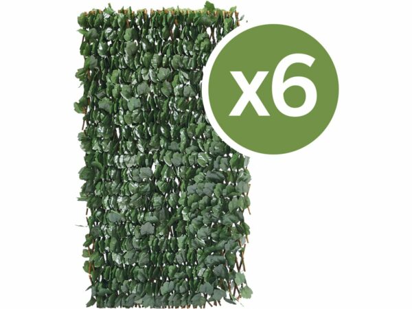 Lot de 6 Clôtures en Treillis de Saule "Fragon" 200x100 cm Vert – Résistantes, Faciles à Installer
