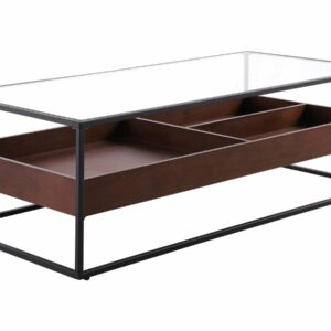 Table Basse "NEO" 120x60x40 cm – Verre trempé et bois naturel, design moderne et robuste