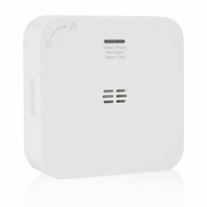 Détecteur de monoxyde de carbone WIFI FGA-13800 pour une sécurité optimale à domicile
