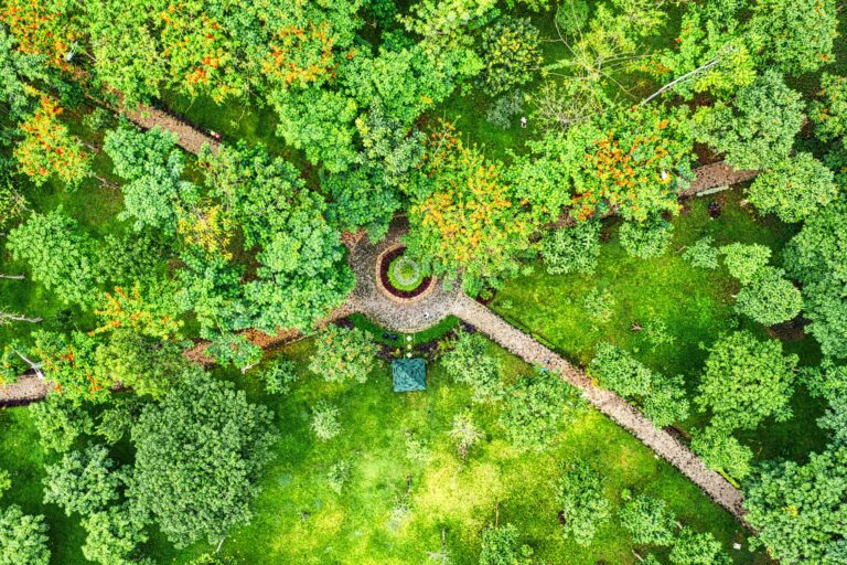 Comment réaliser un plan de culture pour optimiser l’espace ?