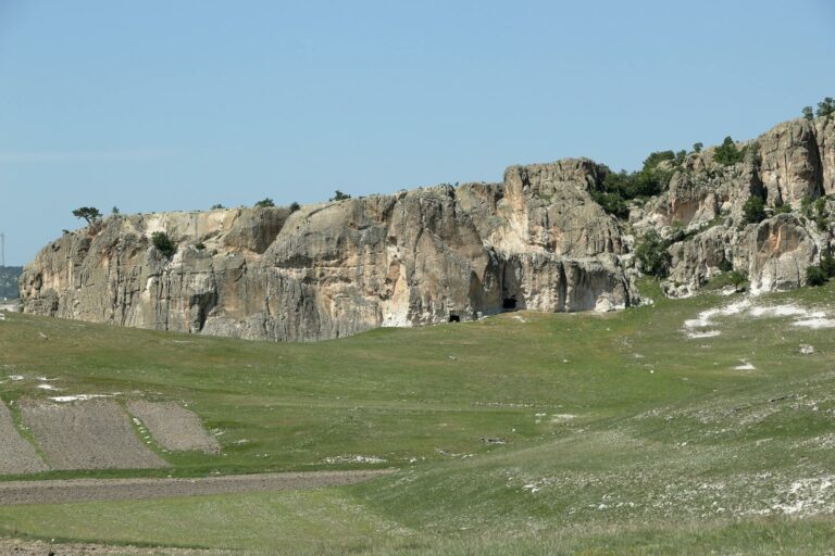 Débroussailleuse : comment choisir le bon modèle selon son terrain ?
