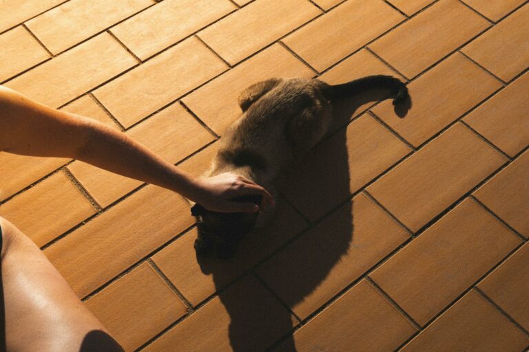Poser des dalles clipsables soi-même sur une ancienne terrasse