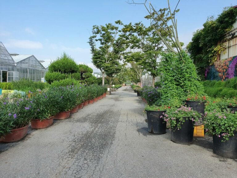 Délimiter proprement une allée avec des bordures esthétiques