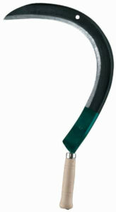 leborgne-faucille-a-broussailles-coudee-50-cm-1-164x300 Faire pousser ses aromates sur le rebord d’une fenêtre