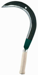 leborgne-faucille-a-herbe-coudee-42-cm-1-155x300 Quelles plantes choisir pour un massif en plein soleil ?