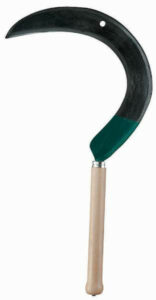 Faucille Corse pour droitier – 55 cm